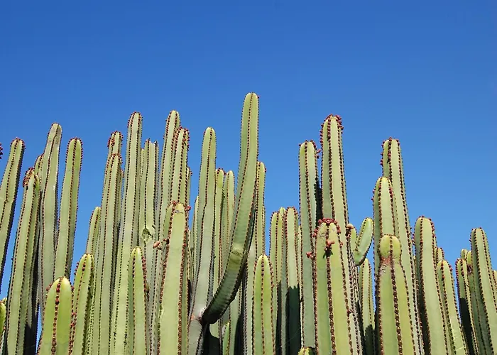 Vila Kaiman 23 By Villagrancanaria *