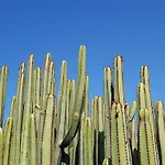 Villa Kaiman 23 By Villagrancanaria *