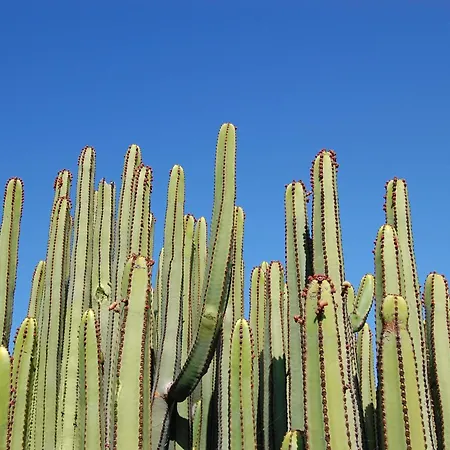 Villa Kaiman 23 By Villagrancanaria *
